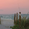 Exploring Lee County, Florida: Fun Activities for Kids and Teens
