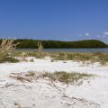 Are Beach Bonfires Allowed in Lee County, Florida?