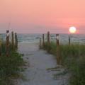 Experience the Best of Lee County, Florida with Your Family