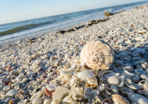Discovering Lee County, Florida: An Exciting Family Scavenger Hunt