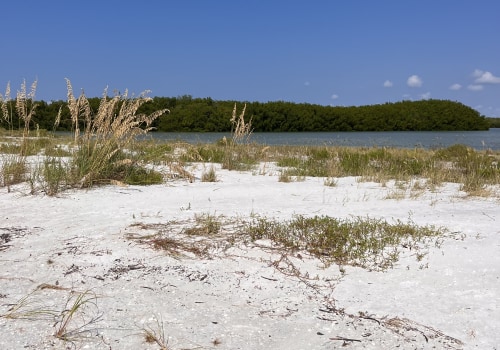 Are Beach Bonfires Allowed in Lee County, Florida?
