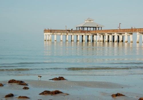 Experience the Best of Lee County, Florida This Summer